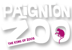 Paignton Zoo